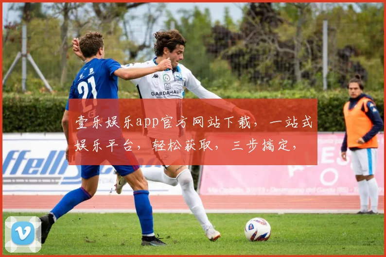 壹乐娱乐app官方网站下载，一站式娱乐平台，轻松获取，三步搞定，必看攻略，必下神器