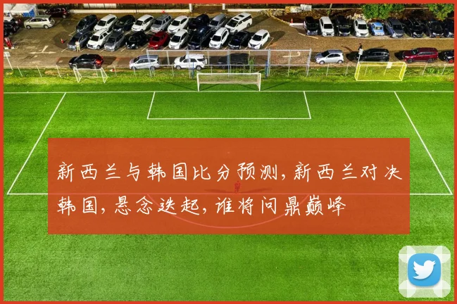 新西兰与韩国比分预测,新西兰对决韩国,悬念迭起,谁将问鼎巅峰