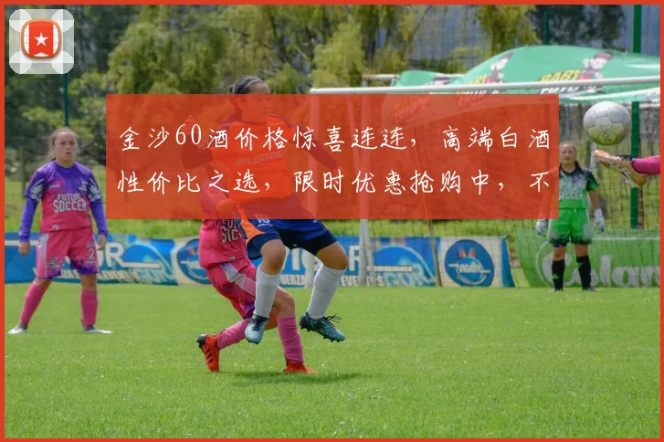金沙60酒价格惊喜连连，高端白酒性价比之选，限时优惠抢购中，不容错过