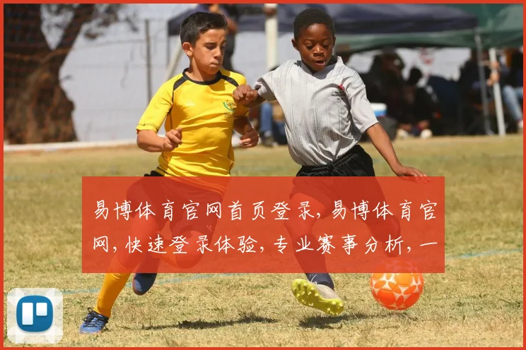 易博体育官网首页登录,易博体育官网,快速登录体验,专业赛事分析,一站式服务