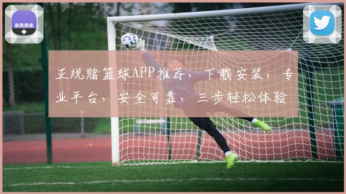 正规赌篮球APP推荐，下载安装，专业平台，安全可靠，三步轻松体验