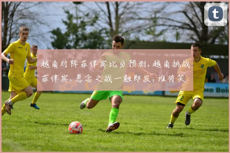 越南对阵菲律宾比分预测,越南挑战菲律宾,悬念之战一触即发,谁将笑到最后