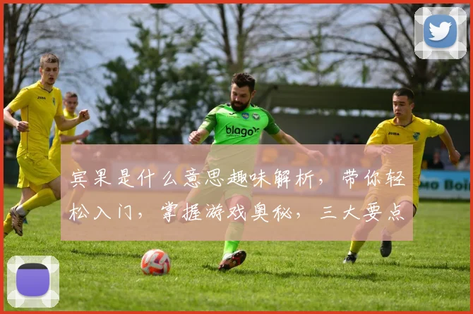 宾果是什么意思趣味解析，带你轻松入门，掌握游戏奥秘，三大要点必看